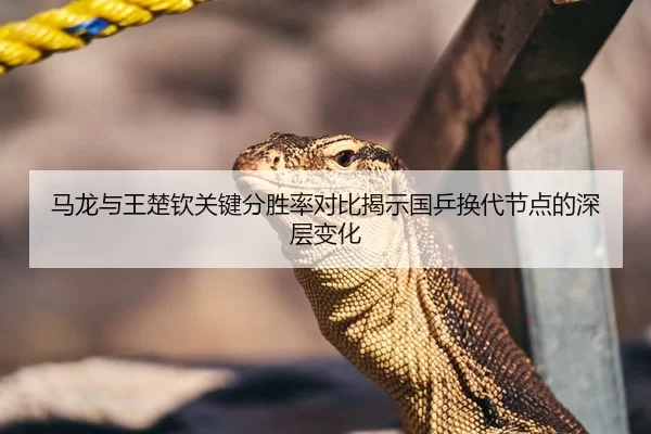 马龙与王楚钦关键分胜率对比揭示国乒换代节点的深层变化