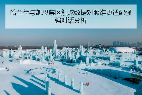 哈兰德与凯恩禁区触球数据对照谁更适配强强对话分析