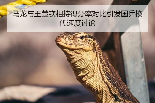 马龙与王楚钦相持得分率对比引发国乒换代速度讨论