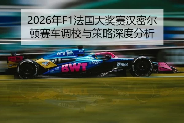 nian-fa-guo-da-jiang-sai-han-mi-er-dun-sai-che-diao-xiao-yu-ce-lve-shen-du-fen-xi-2-518.jpg