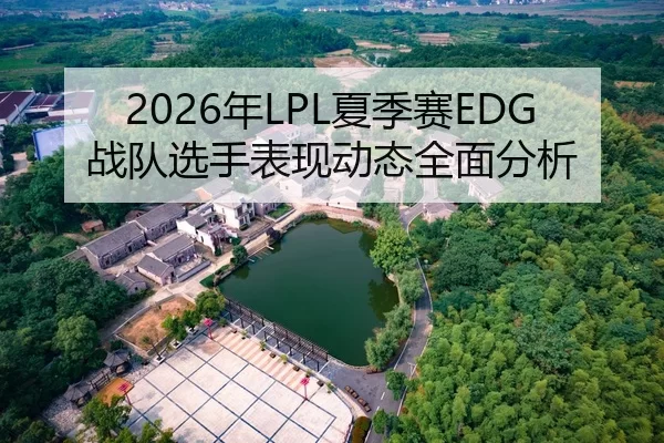 2026年LPL夏季赛EDG战队选手表现动态全面分析