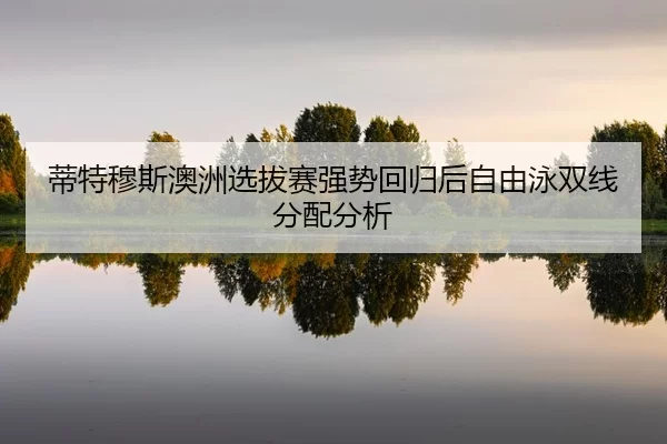 di-te-mu-si-ao-zhou-xuan-ba-sai-qiang-shi-hui-gui-hou-zi-you-yong-shuang-xian-fen-pei-fen-xi-2-297.jpg