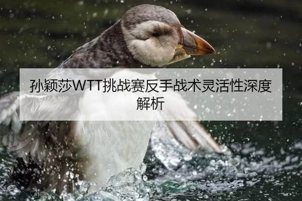 孙颖莎WTT挑战赛反手战术灵活性深度解析