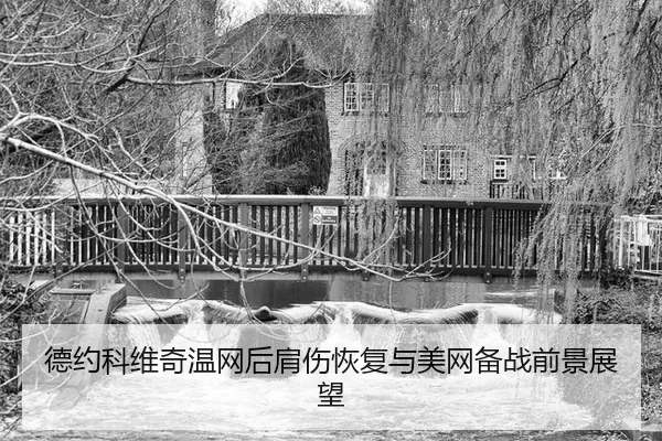 de-yue-ke-wei-qi-wen-wang-hou-jian-shang-hui-fu-yu-mei-wang-bei-zhan-qian-jing-zhan-wang-2-737.jpg