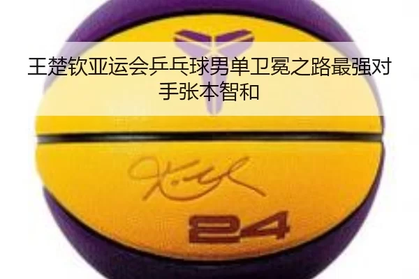 wang-chu-qin-ya-yun-hui-ping-pang-qiu-nan-dan-wei-mian-zhi-lu-zui-qiang-dui-shou-zhang-ben-zhi-he-2-722.jpg