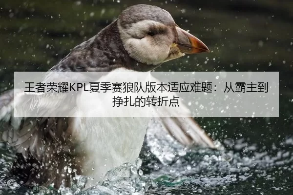 王者荣耀KPL夏季赛狼队版本适应难题：从霸主到挣扎的转折点