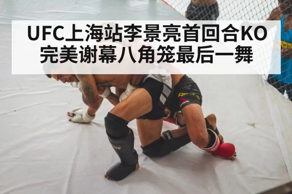 UFC上海站李景亮首回合KO完美谢幕八角笼最后一舞